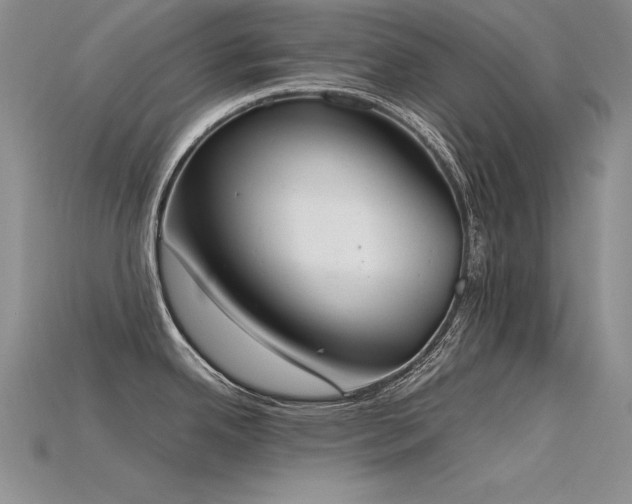 X0000115781342200911131239