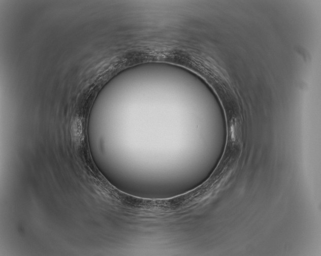 X0000115781347200911131239