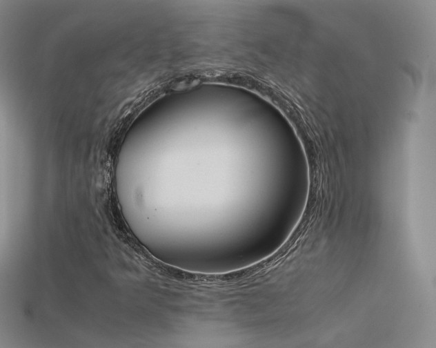 X0000115781349200911131239