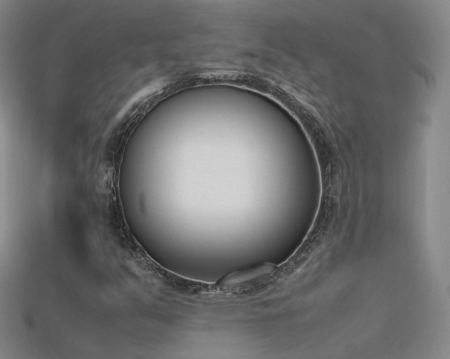 X0000115781351200911131239