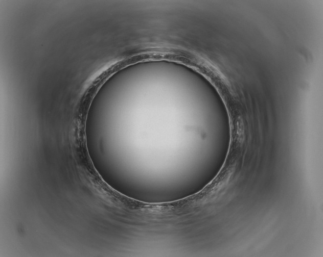 X0000115781352200911131239
