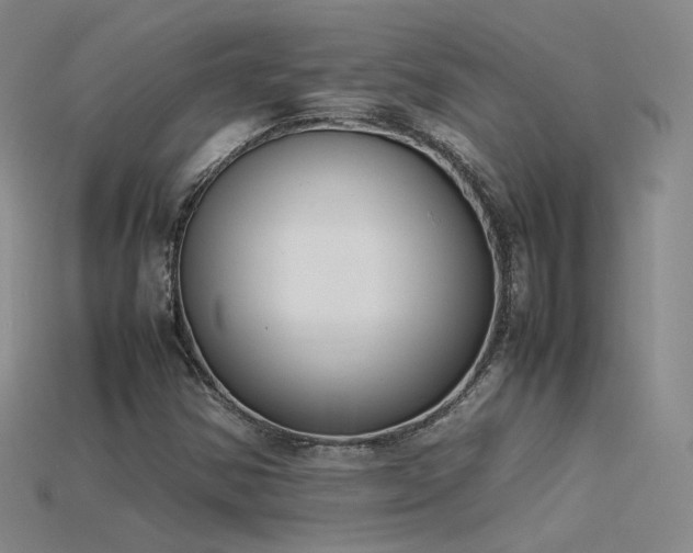 X0000115781354200911131238