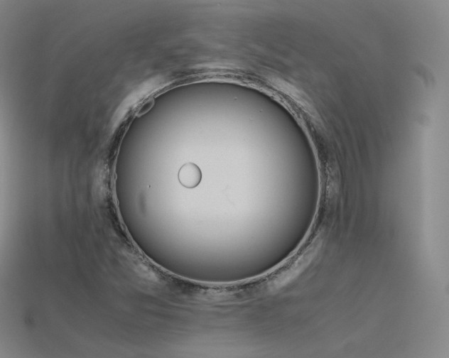 X0000115781357200911131238