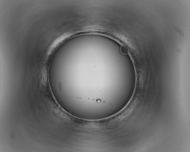 X0000115781358200911131238