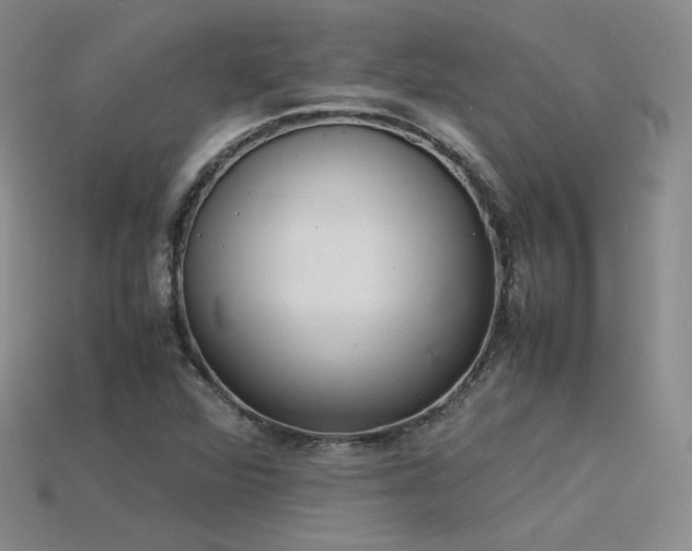 X0000115781360200911131238