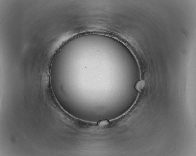 X0000115781363200911131238