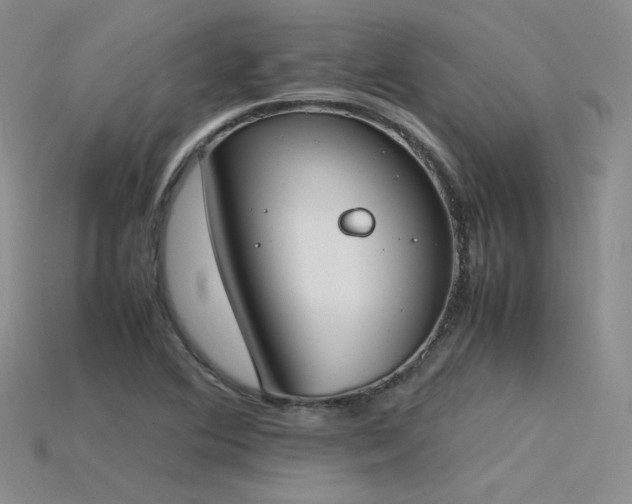 X0000115781364200911131238