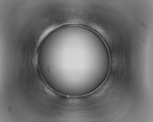 X0000115781366200911131238
