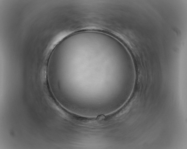 X0000115781367200911131238