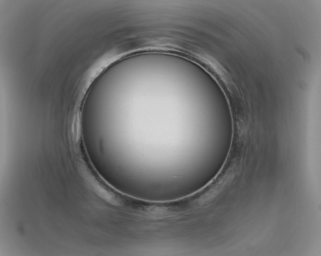 X0000115781371200911131238