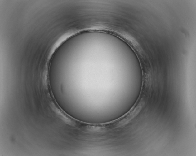 X0000115781374200911131238