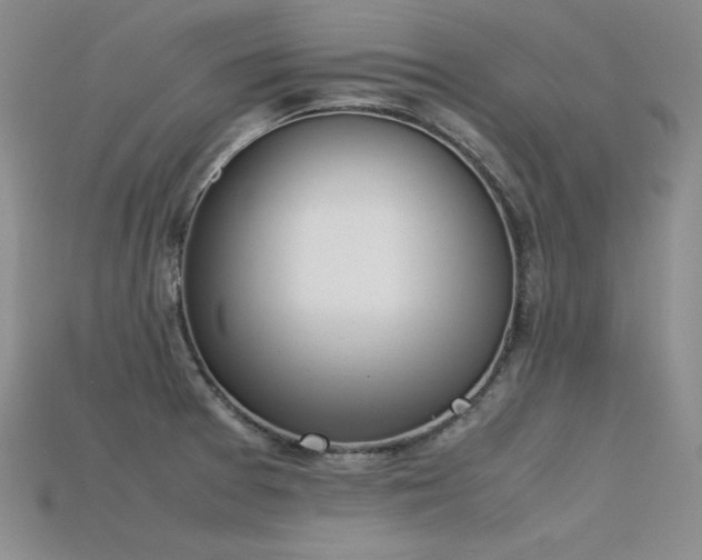X0000115781377200911131238