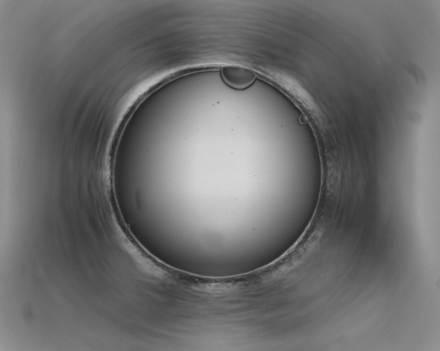 X0000115781380200911131238