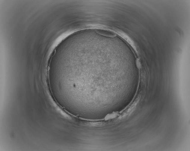 X0000115781381200911131238