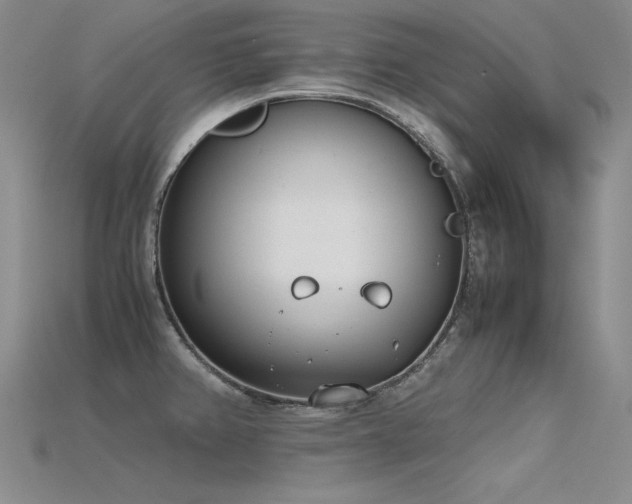 X0000115781382200911131238