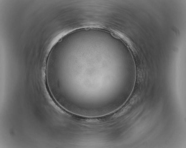 X0000115781383200911131238