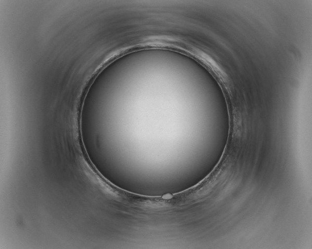 X0000115781384200911131238