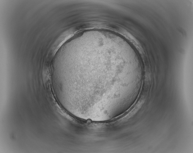 X0000115781385200911131238