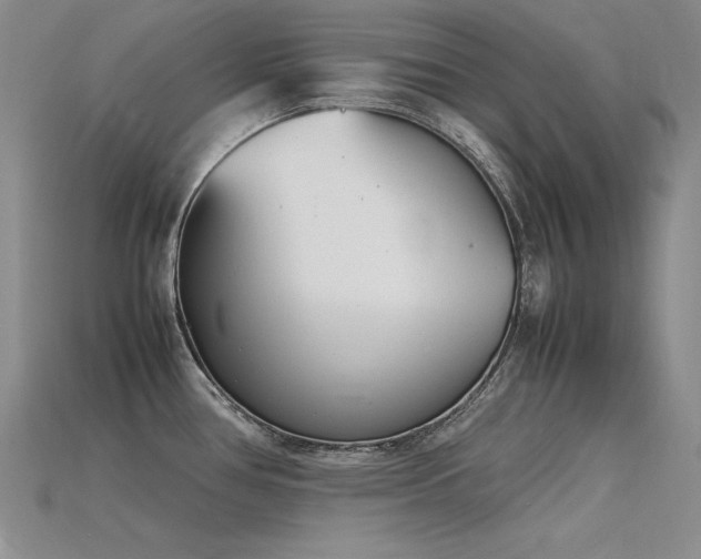 X0000115781386200911131238