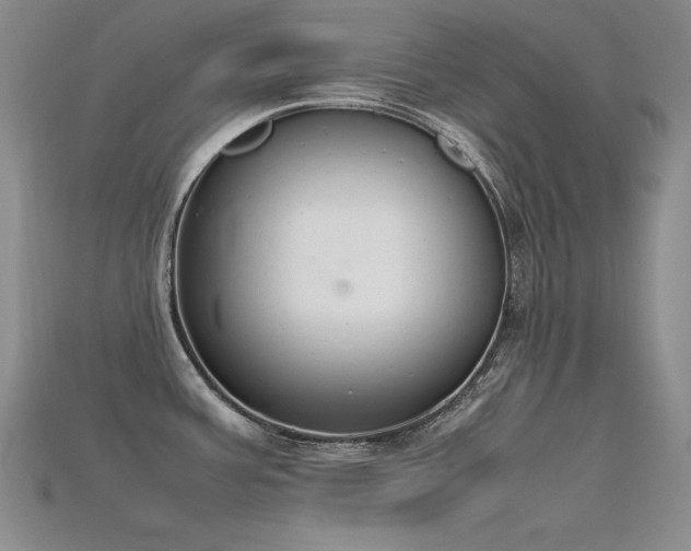 X0000115781387200911131238