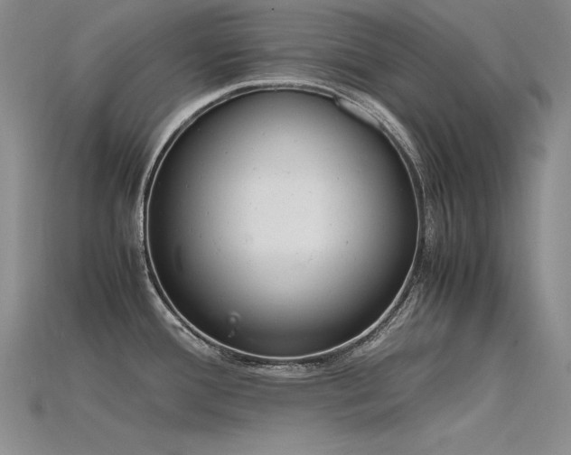 X0000115781388200911131238