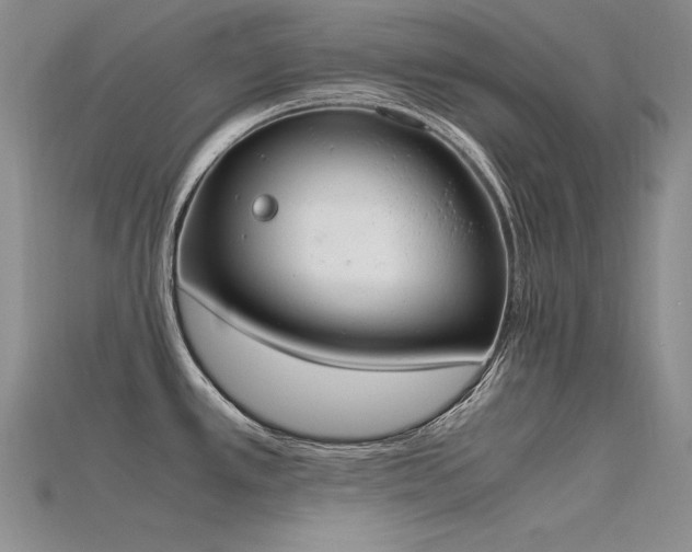 X0000115781389200911131238