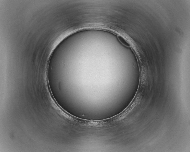 X0000115781390200911131238
