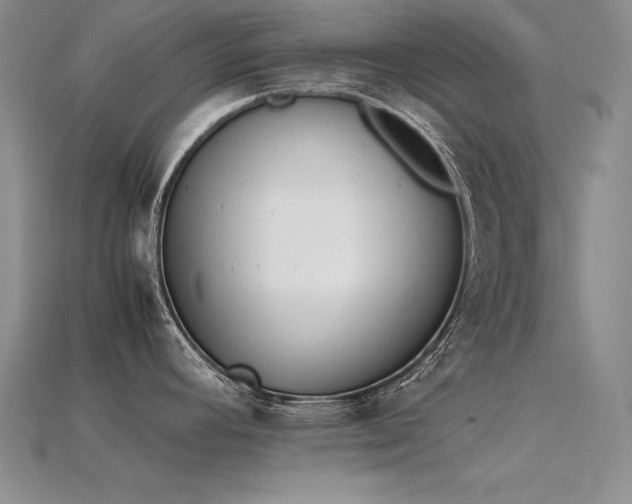 X0000115781392200911131238