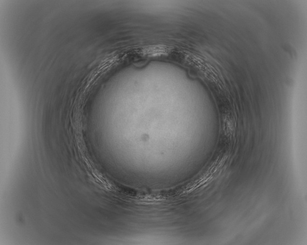 X0000115781393200911131237