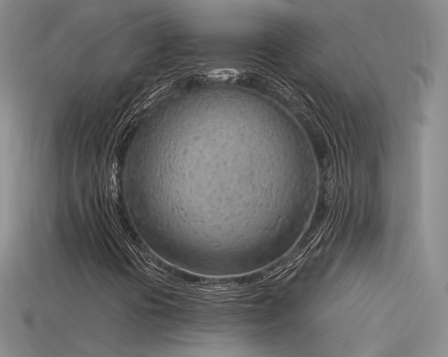 X0000115781394200911131237