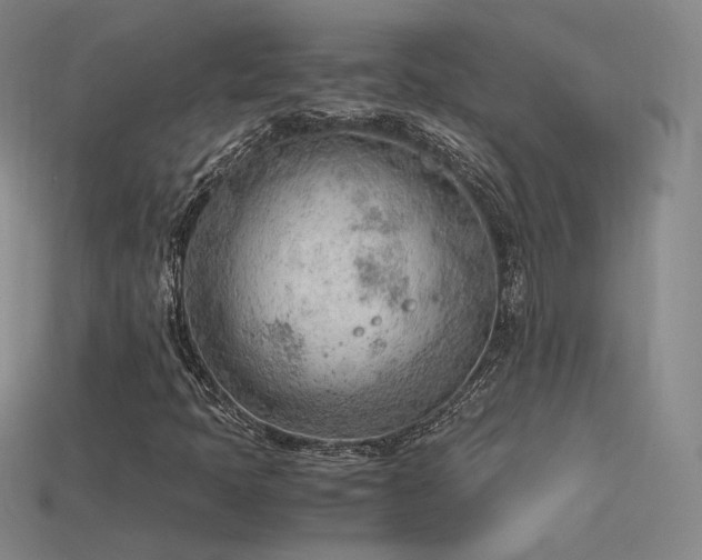 X0000115781397200911131237