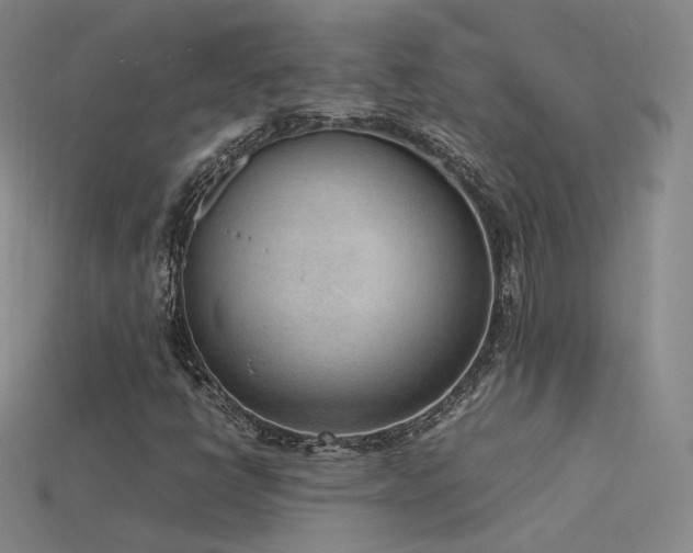 X0000115781398200911131237
