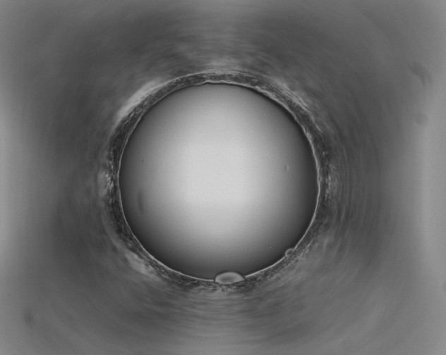 X0000115781400200911131237