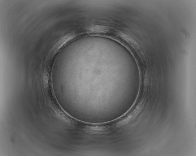 X0000115781401200911131237