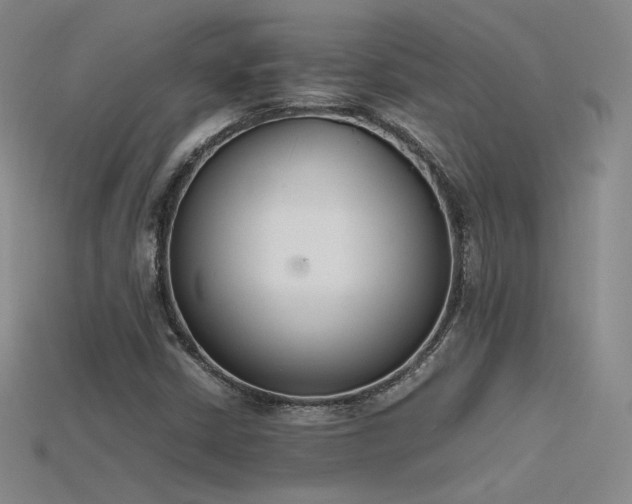 X0000115781402200911131237