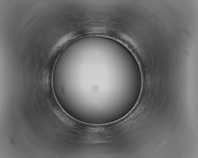 X0000115781403200911131237