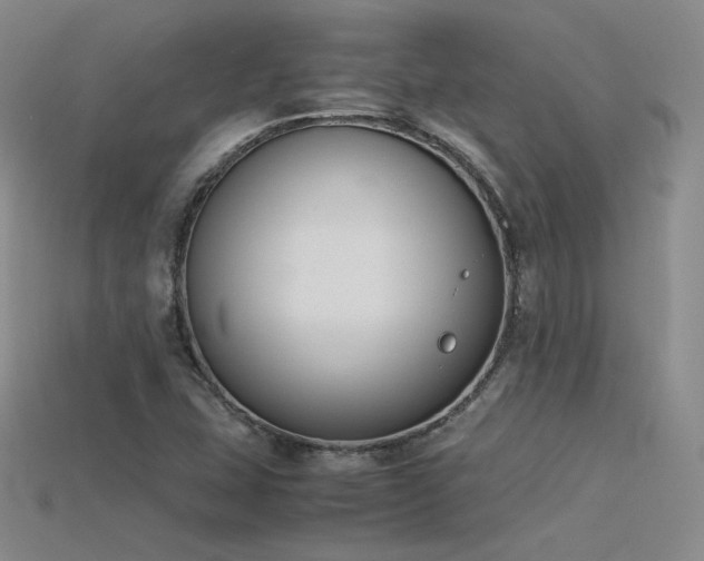 X0000115781407200911131238