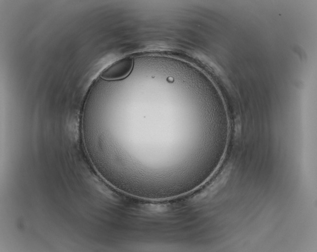 X0000115781409200911131238