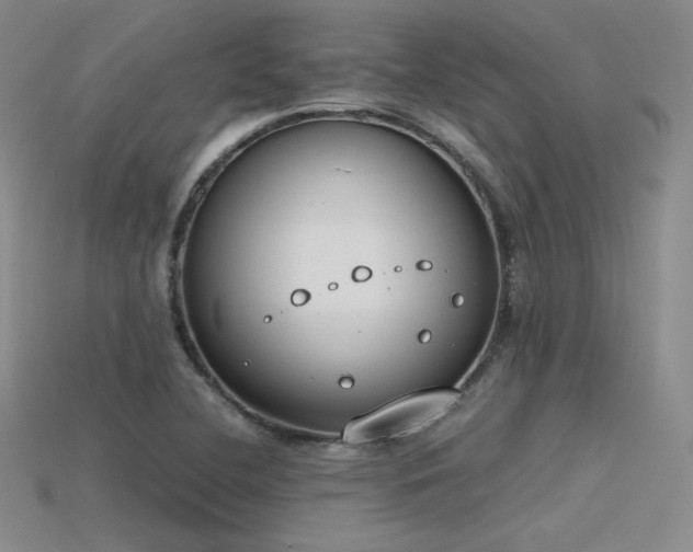 X0000115781412200911131238