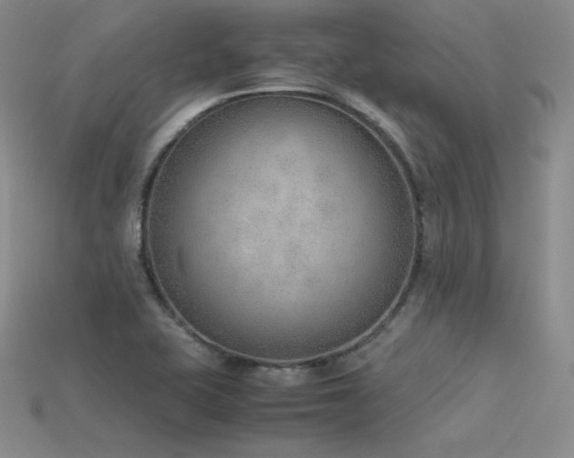 X0000115781415200911131238