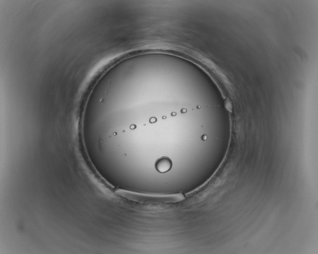 X0000115781416200911131238