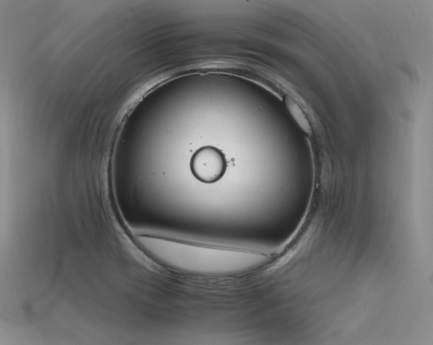 X0000115781417200911131238