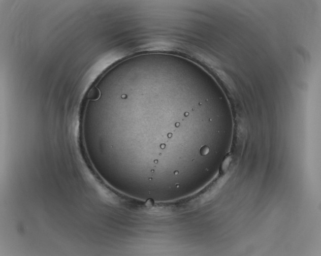 X0000115781418200911131238