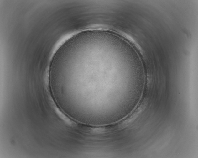 X0000115781421200911131238