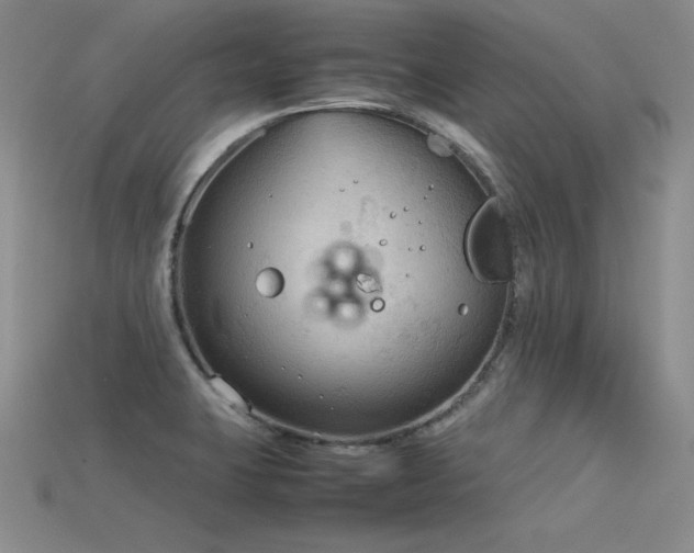 X0000115781423200911131238