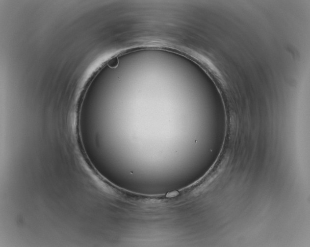 X0000115781424200911131238