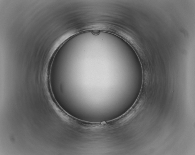 X0000115781426200911131238