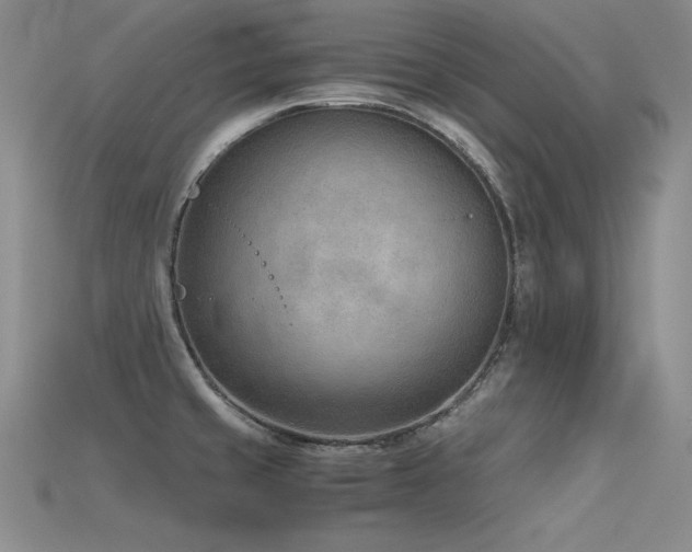 X0000115781429200911131238