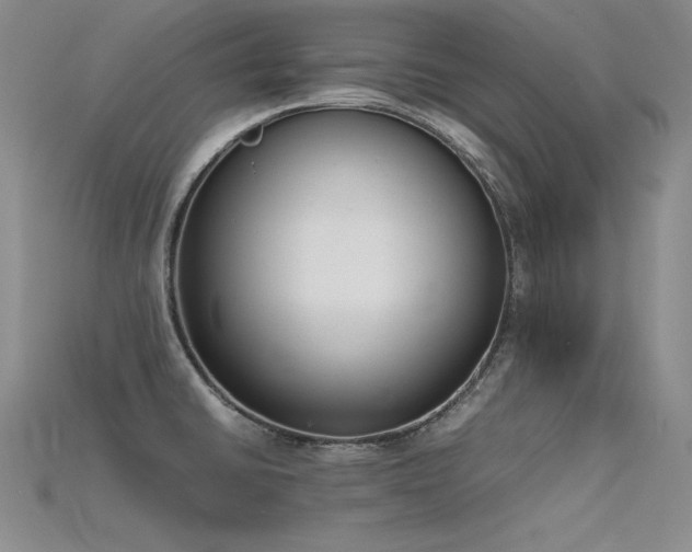 X0000115781430200911131238