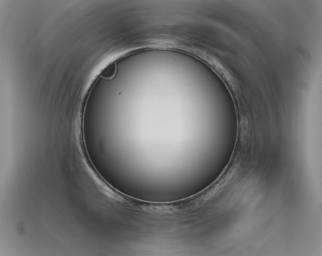 X0000115781432200911131238